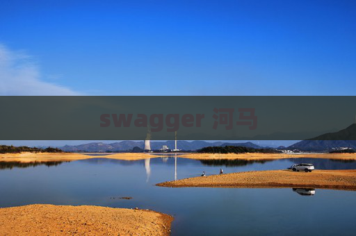swagger 河马